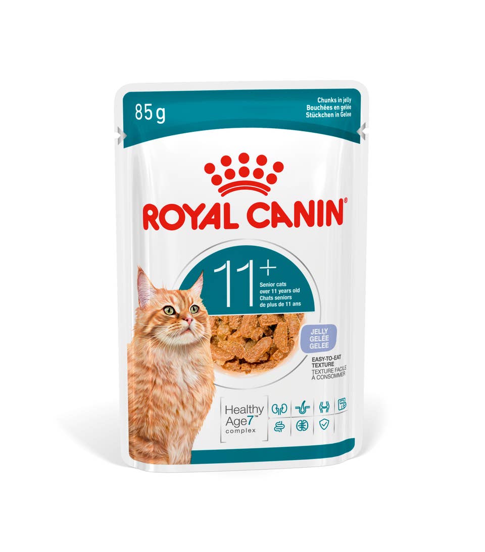 Вологий корм для котів Royal Canin Ageing 11+