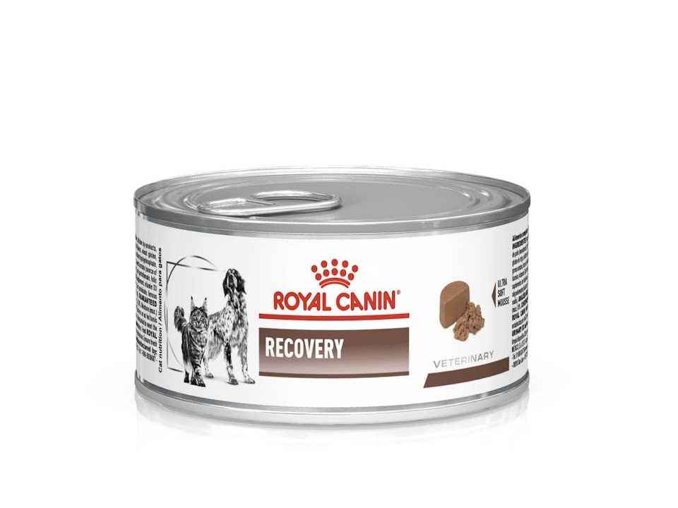 Вологий корм для собак Royal Canin Recovery