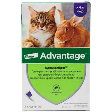 Advantage 80 для котів